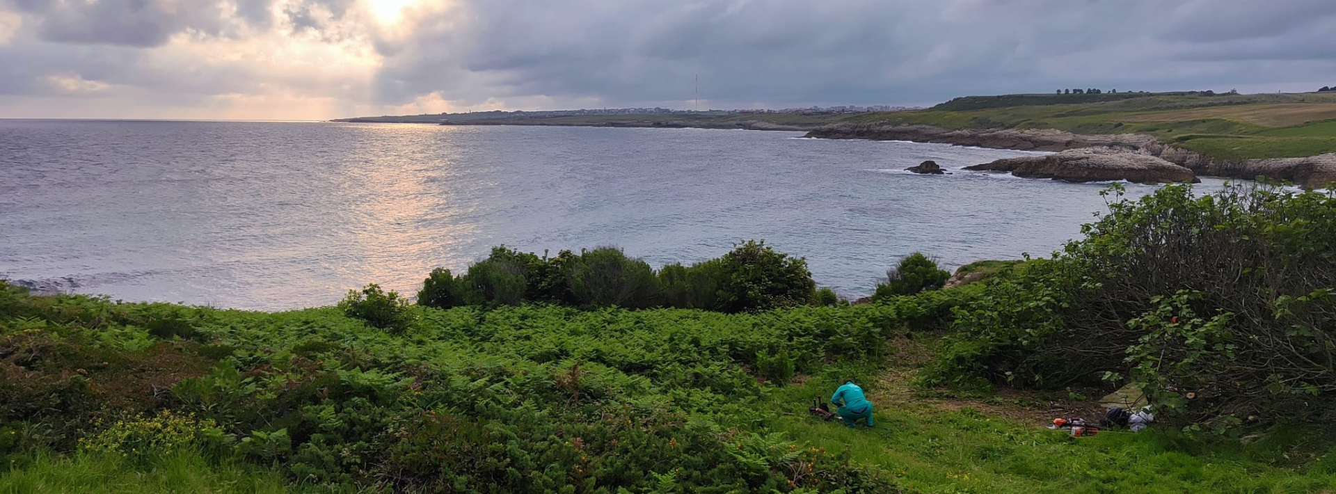 Flora Invasora Santander Destino